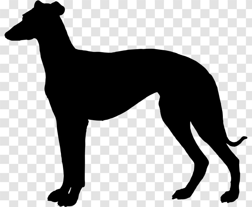 Italian Greyhound Whippet Spanish Sloughi - Galgo Espa%c3%b1ol - Silhouette Transparent PNG