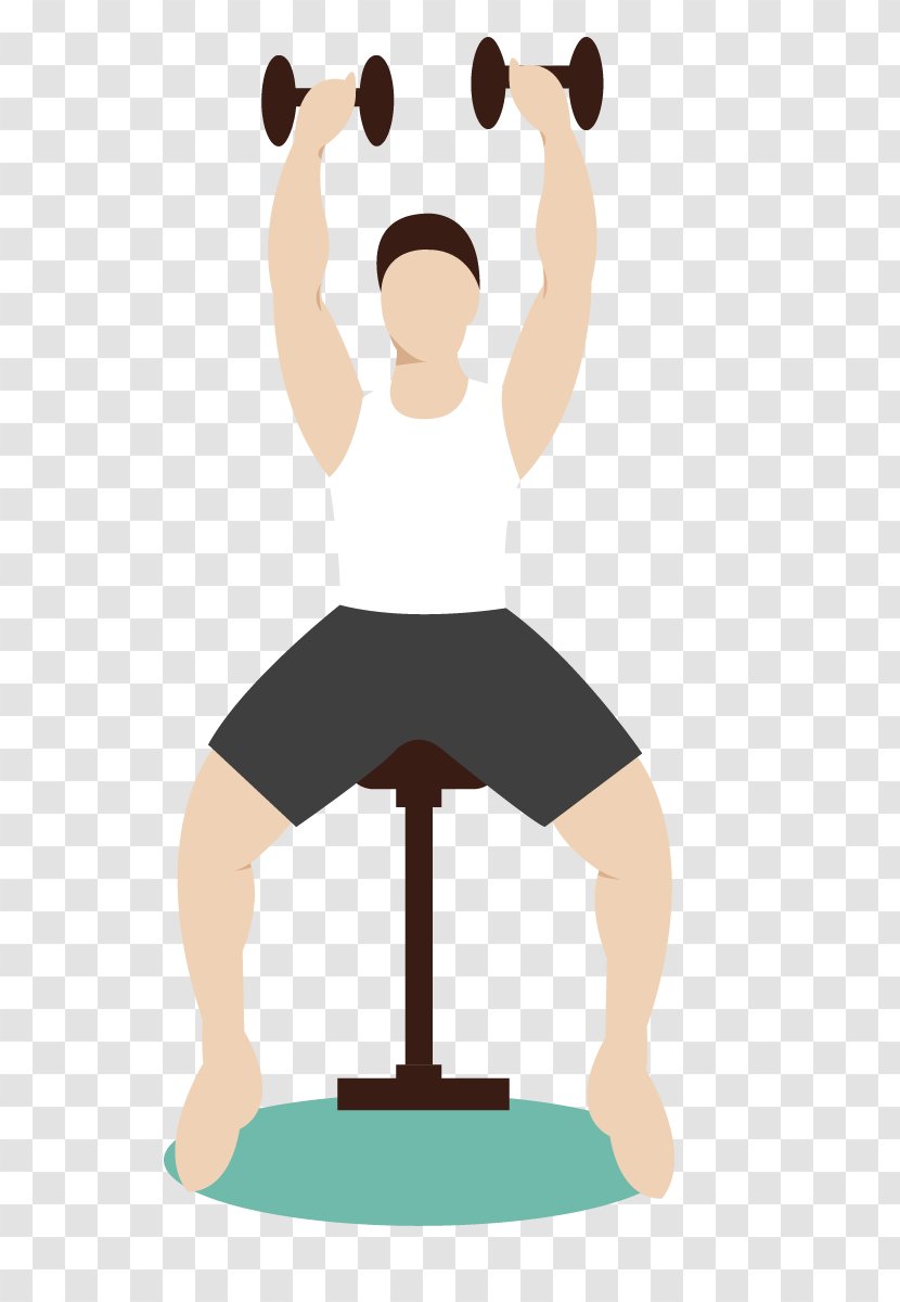 Physical Fitness Bodybuilding Exercise - Shoulder - The Dumbbells Transparent PNG