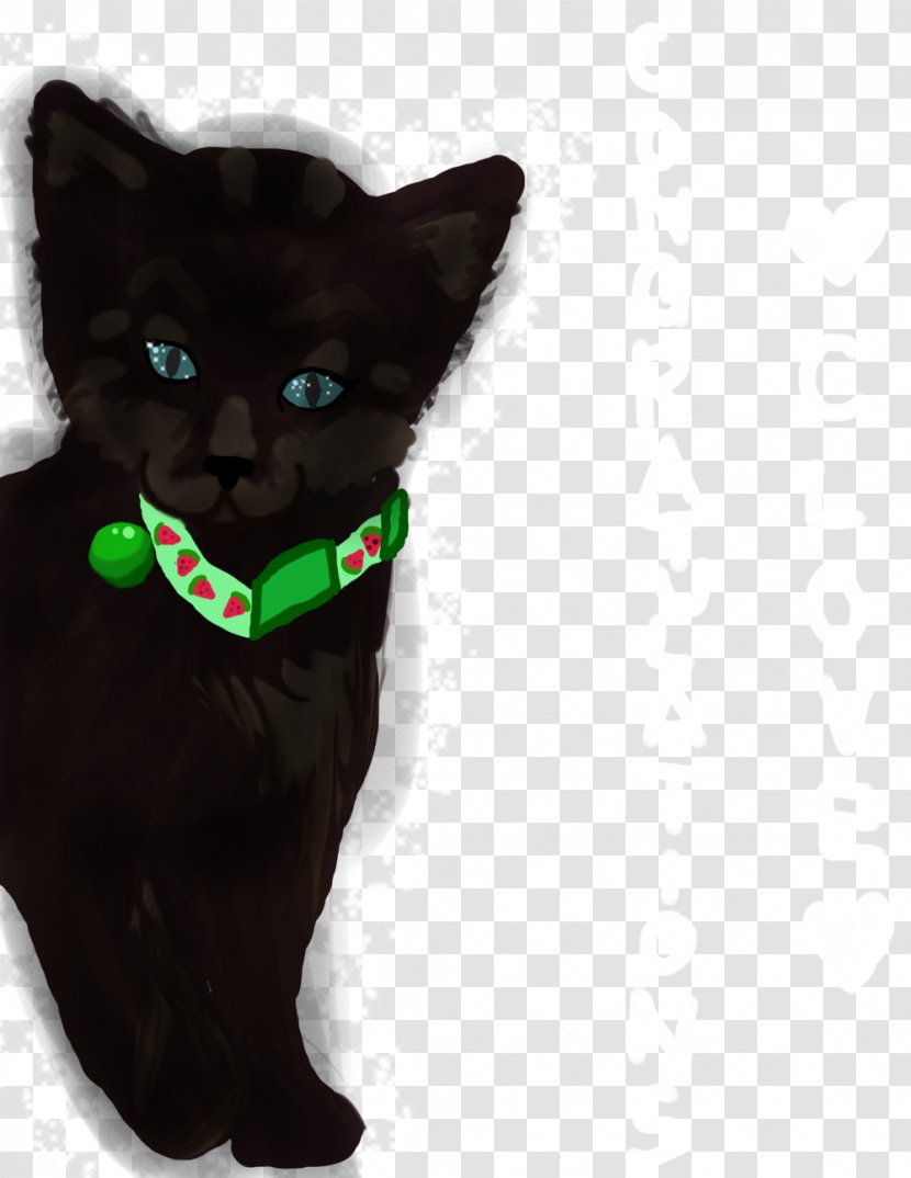 Black Cat Whiskers Domestic Short-haired Fur Transparent PNG