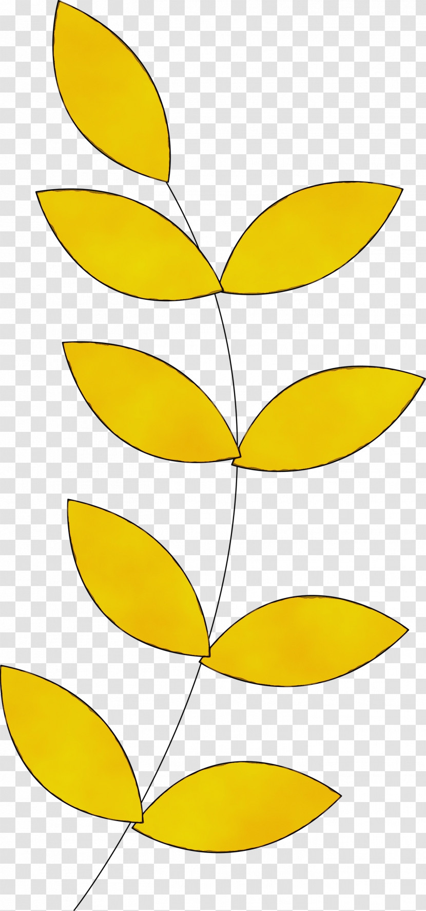 Plant Stem Petal Line Art Leaf Angle Transparent PNG