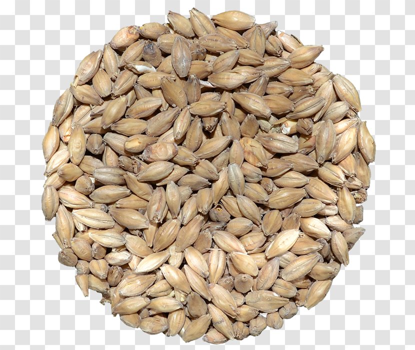 Oat Vegetarian Cuisine Sprouted Wheat Whole Grain Spelt - Avena - Store Transparent PNG