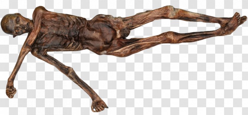 Ötzi Prehistory Ice Mummy: The Discovery Of A 5,000-year-old Man Iceman - Curse - Mummy Cartoon Transparent PNG