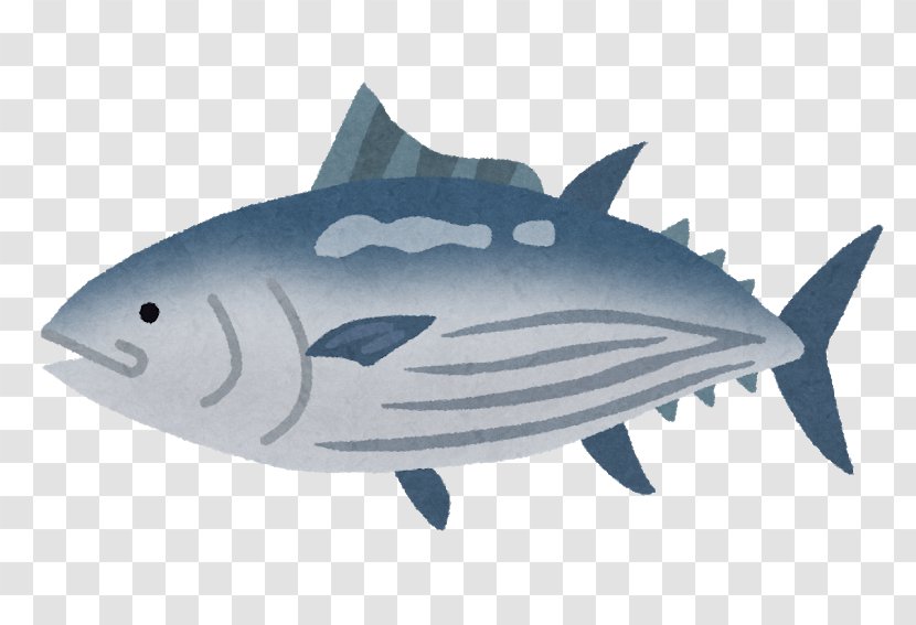 Skipjack Tuna Seasonal Food Fish Mackerel - Cartoon Transparent PNG