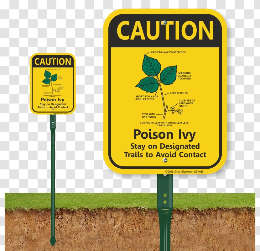 Traffic Sign Signage Aluminium Duck Crossing Yellow - Tree - Caution Signs Funny Transparent PNG