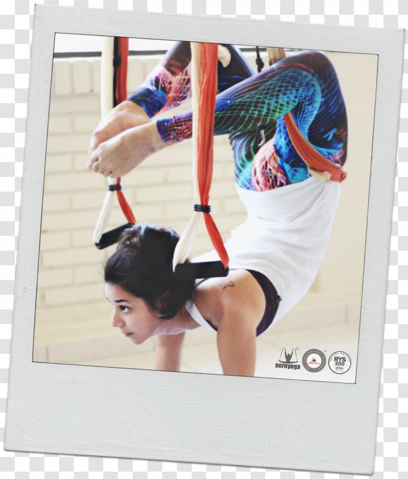 Anti-gravity Yoga Physical Fitness Pilates Vocational Education - Antigravity Transparent PNG