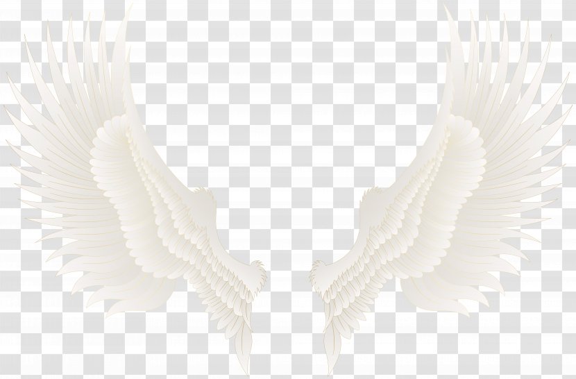 Neck - White Wing Transparent PNG