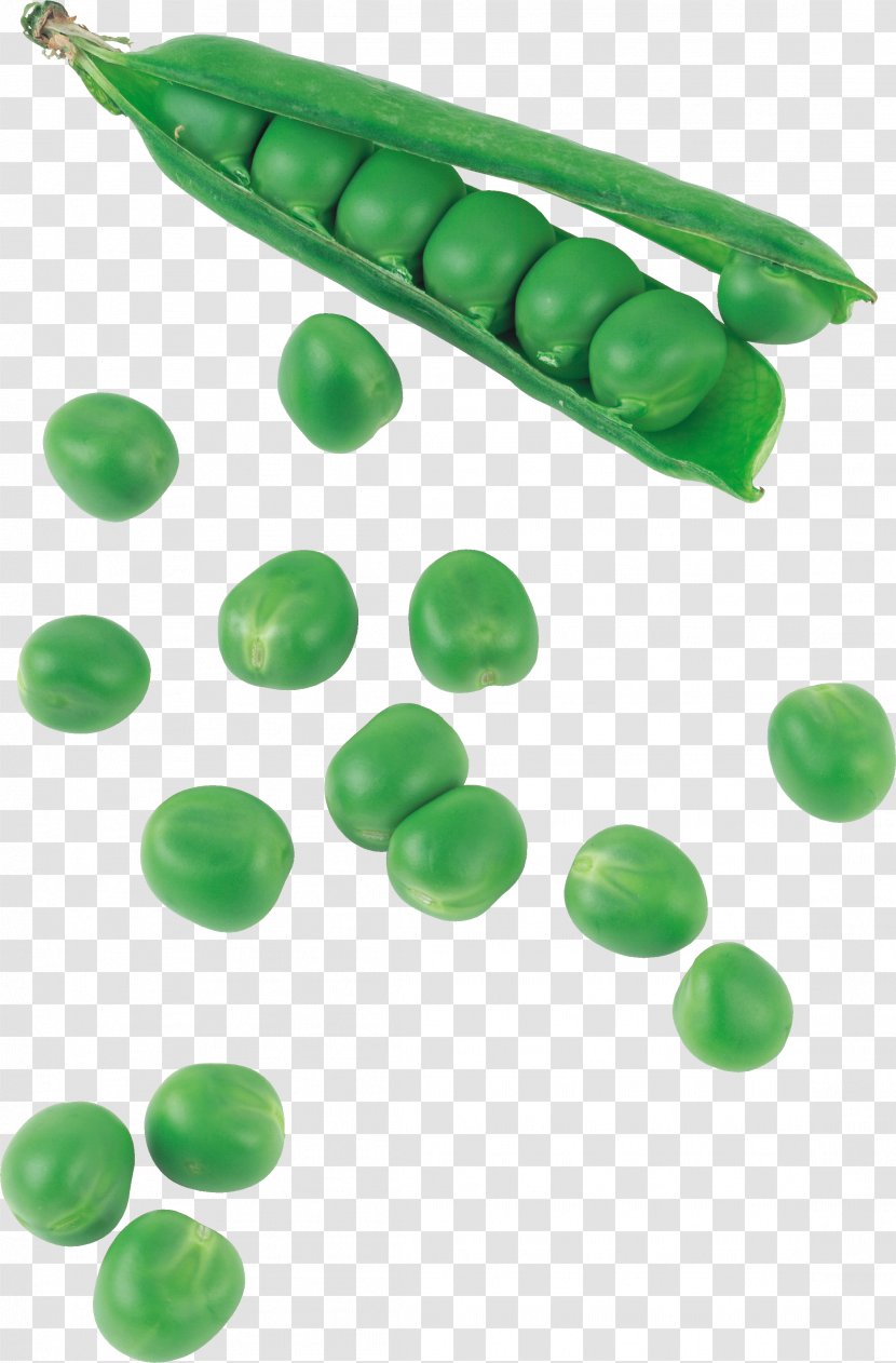 Pea Silique Bean Food Vegetable - Eating Transparent PNG