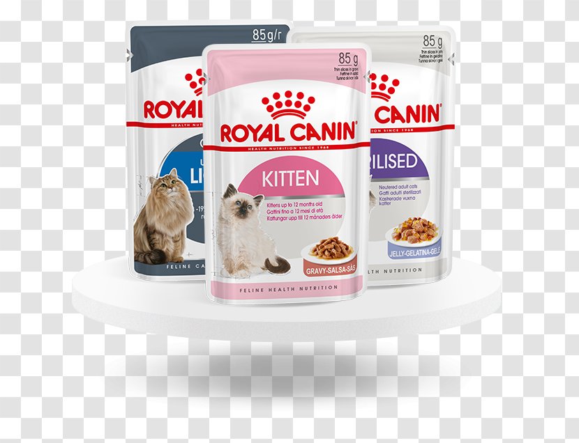 Cat Food Kitten Persian Dog Maine Coon - Royal Canin Transparent PNG