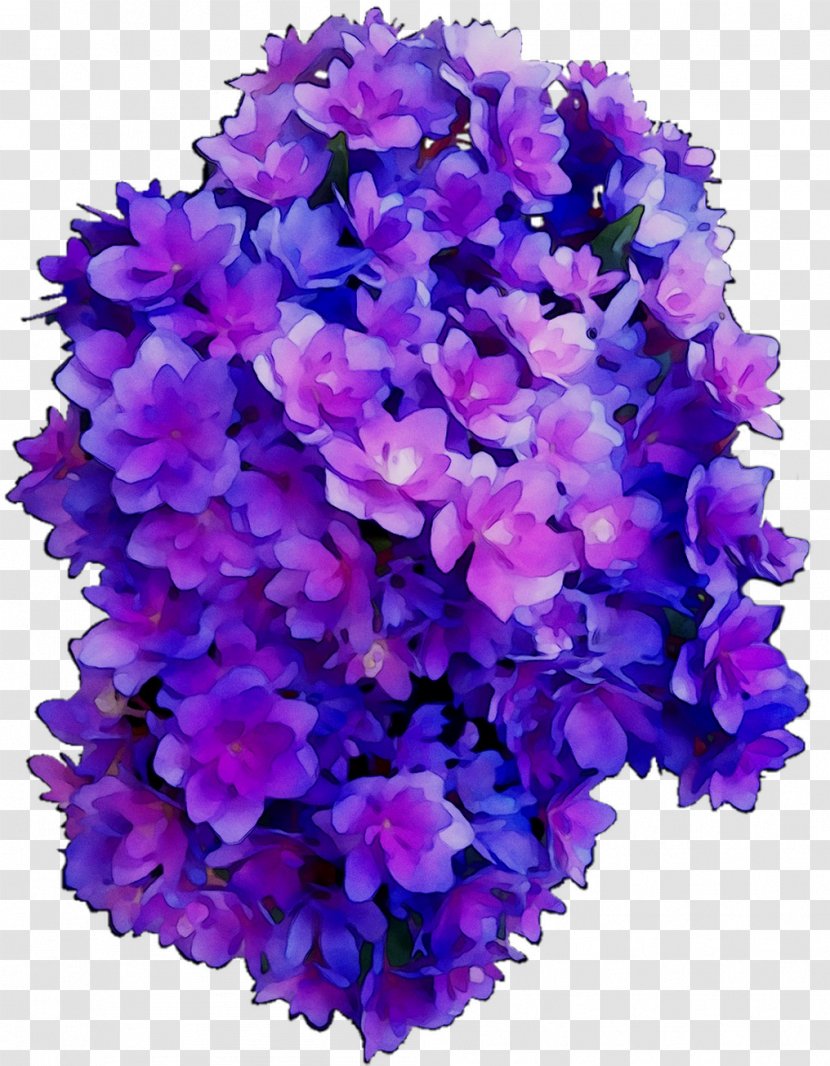 Hydrangea Vervain Cut Flowers Annual Plant Herbaceous - Verbena - Larkspur Transparent PNG