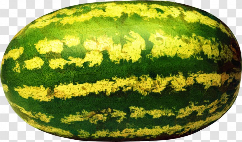 Watermelon Cartoon - Melon - Vegetable Figleaf Gourd Transparent PNG
