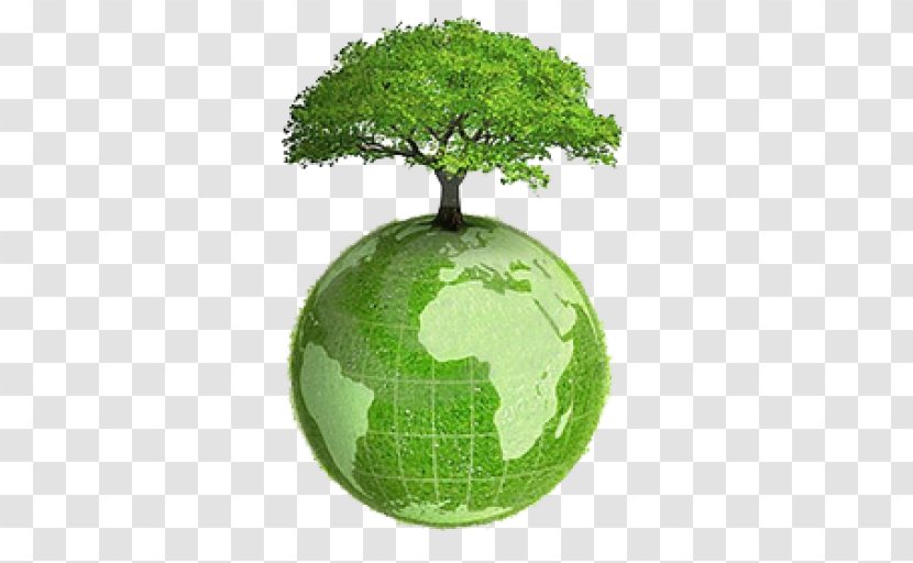 Earth Tree Planting World Globe Transparent PNG