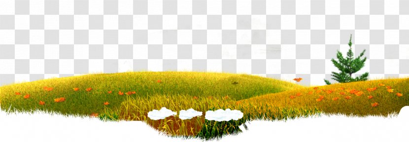 Water Resources Desktop Wallpaper Grasses Vegetation - Masha And The Bear Transparent PNG