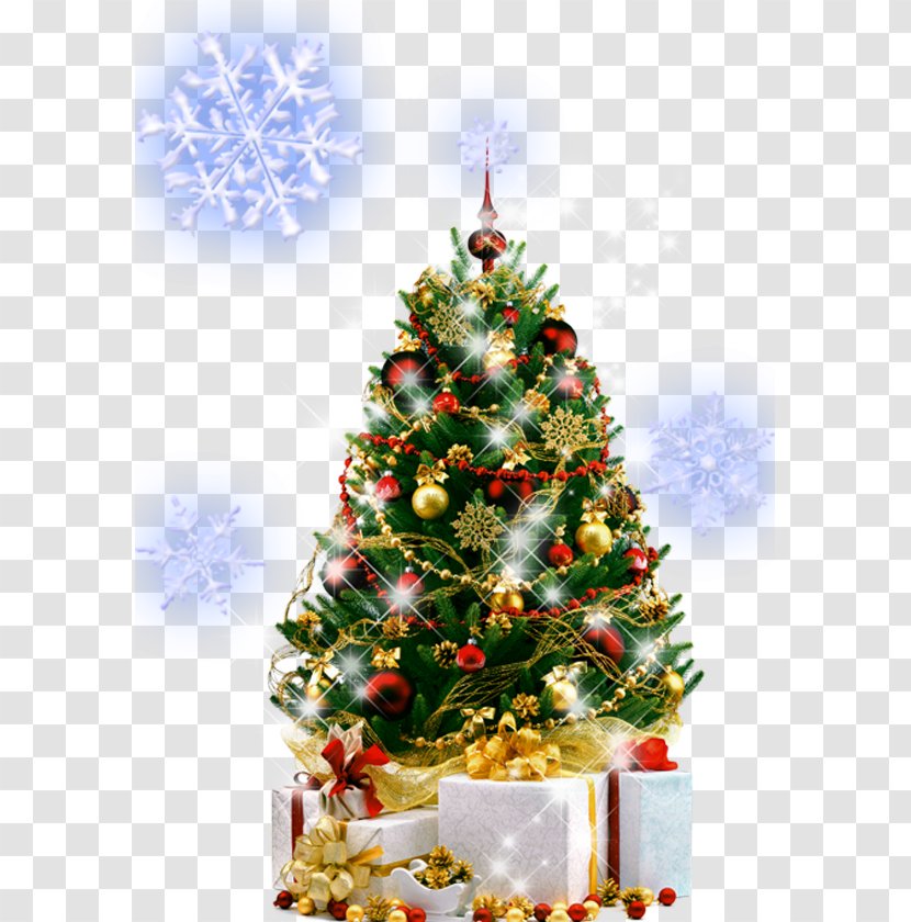 Christmas Tree New Year Ornament - Fir - Flash Vector Transparent PNG