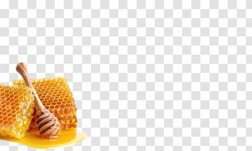 Honey Extraction Sugar Honeycomb - Agave Nectar Transparent PNG