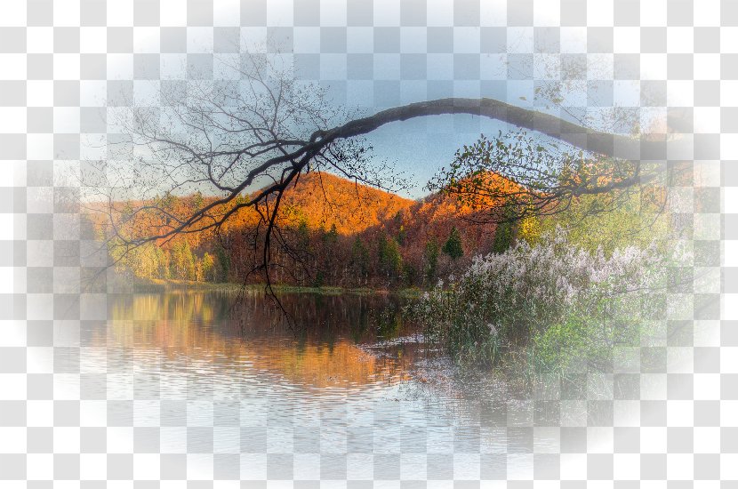 Autumn Animation - Lakeside Transparent PNG