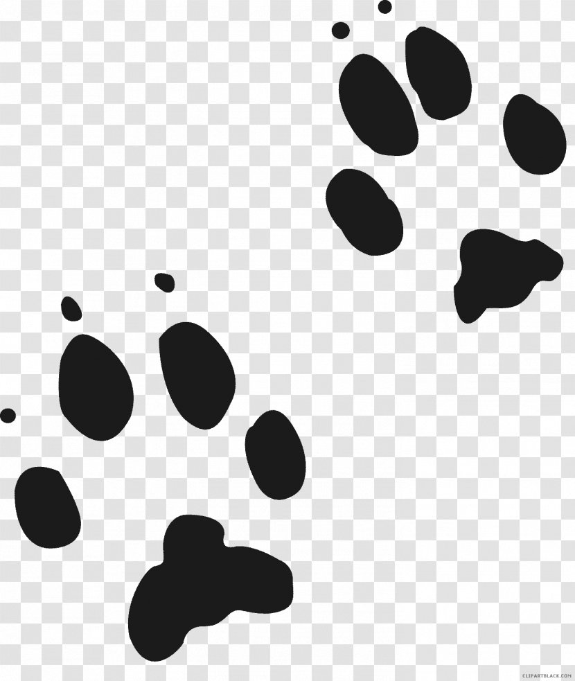 Red Fox Wolf Gray Animal Track Cougar Transparent PNG