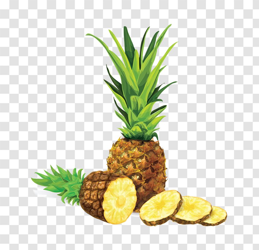 Pineapple Drawing Royalty-free Illustration - Fruit - Vector Transparent PNG