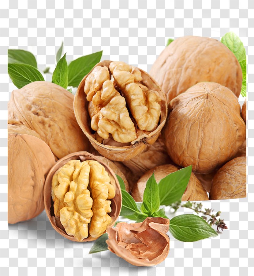 Walnut Vegetarian Cuisine Snack - Hazelnut Transparent PNG