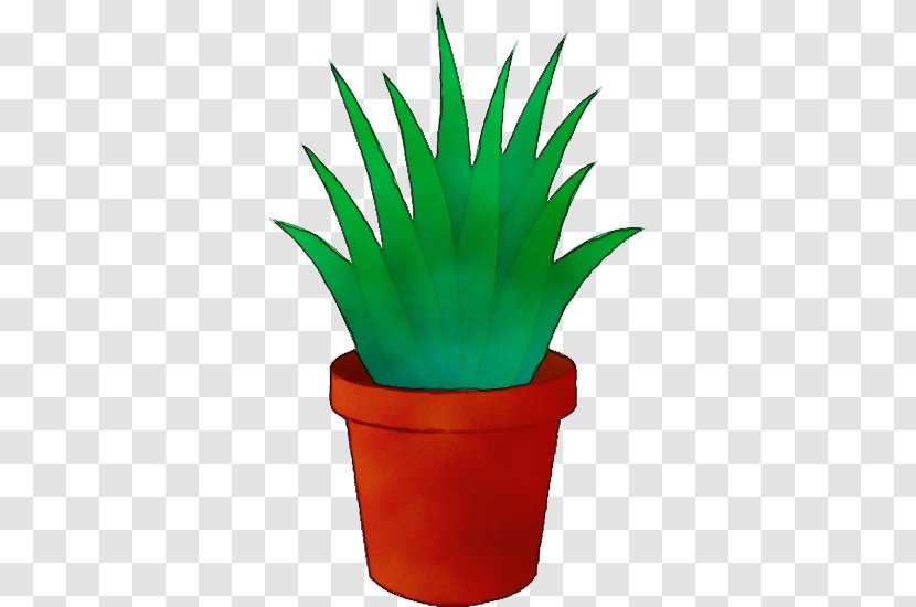 Flowerpot Houseplant Plant Agave Flower - Succulent Xanthorrhoeaceae Transparent PNG