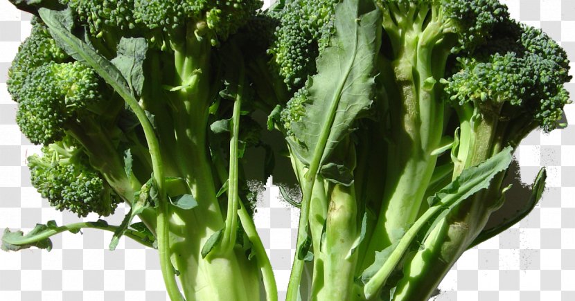 Broccoli Cauliflower Cabbage Kohlrabi Vegetable - Chard Transparent PNG