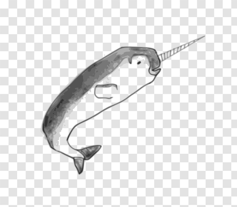 Narwhal Toothed Whale Clip Art - Fish Transparent PNG