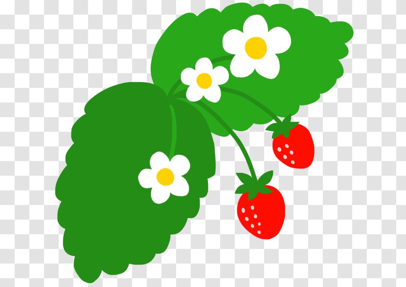 Strawberry Food Fruit Clip Art - Flower Transparent PNG