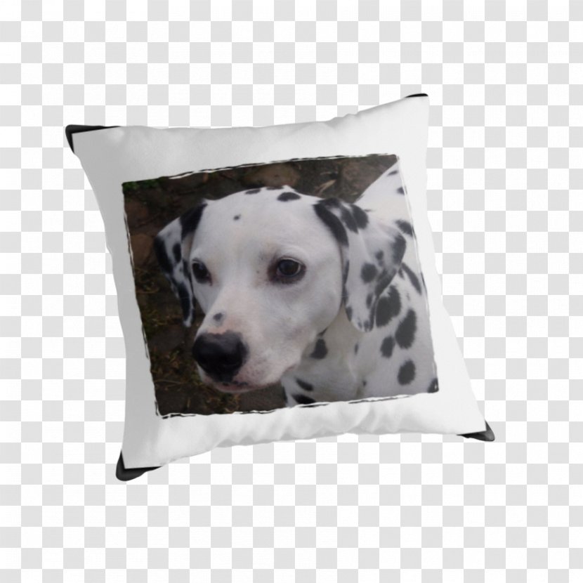 Dalmatian Dog Breed Throw Pillows Cushion - Pillow Transparent PNG