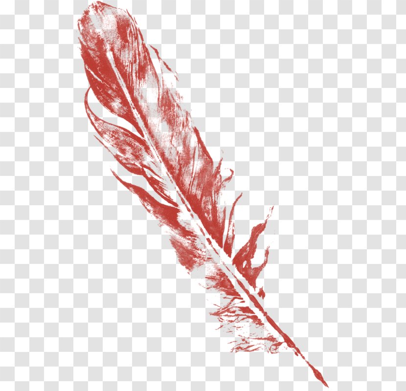 Feather Bird Drawing - Red Feathers Transparent PNG