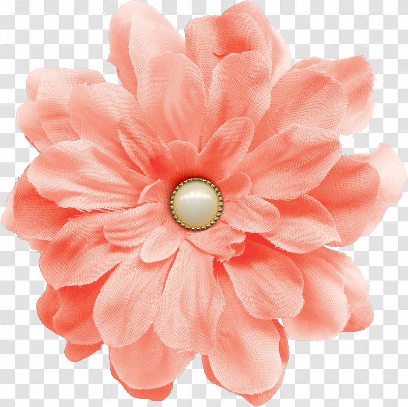 Flower Pearl - Chrysanths - Pink Buttons Transparent PNG