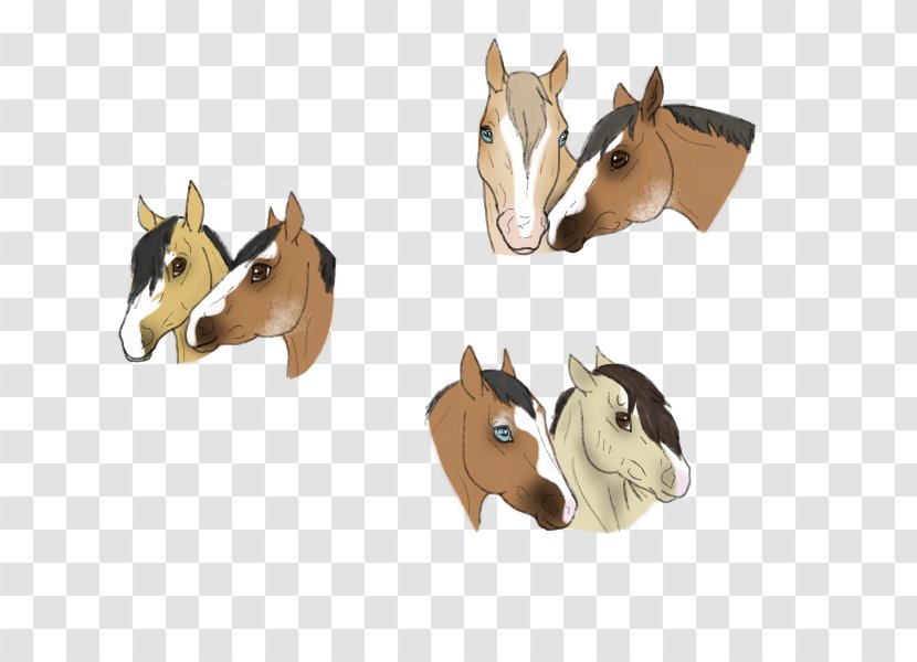 Mustang Halter Rein Bridle Pack Animal Transparent PNG