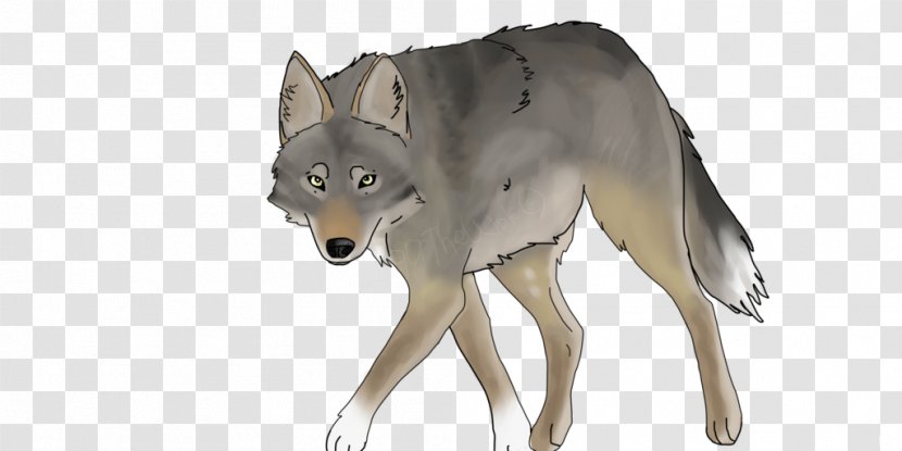 Saarloos Wolfdog Czechoslovakian Coyote Gray Wolf - Mammal Transparent PNG
