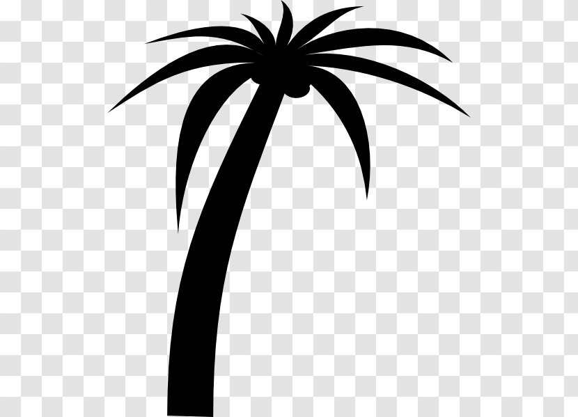 Palm Trees Clip Art Openclipart - White - Flowering Plant Transparent PNG
