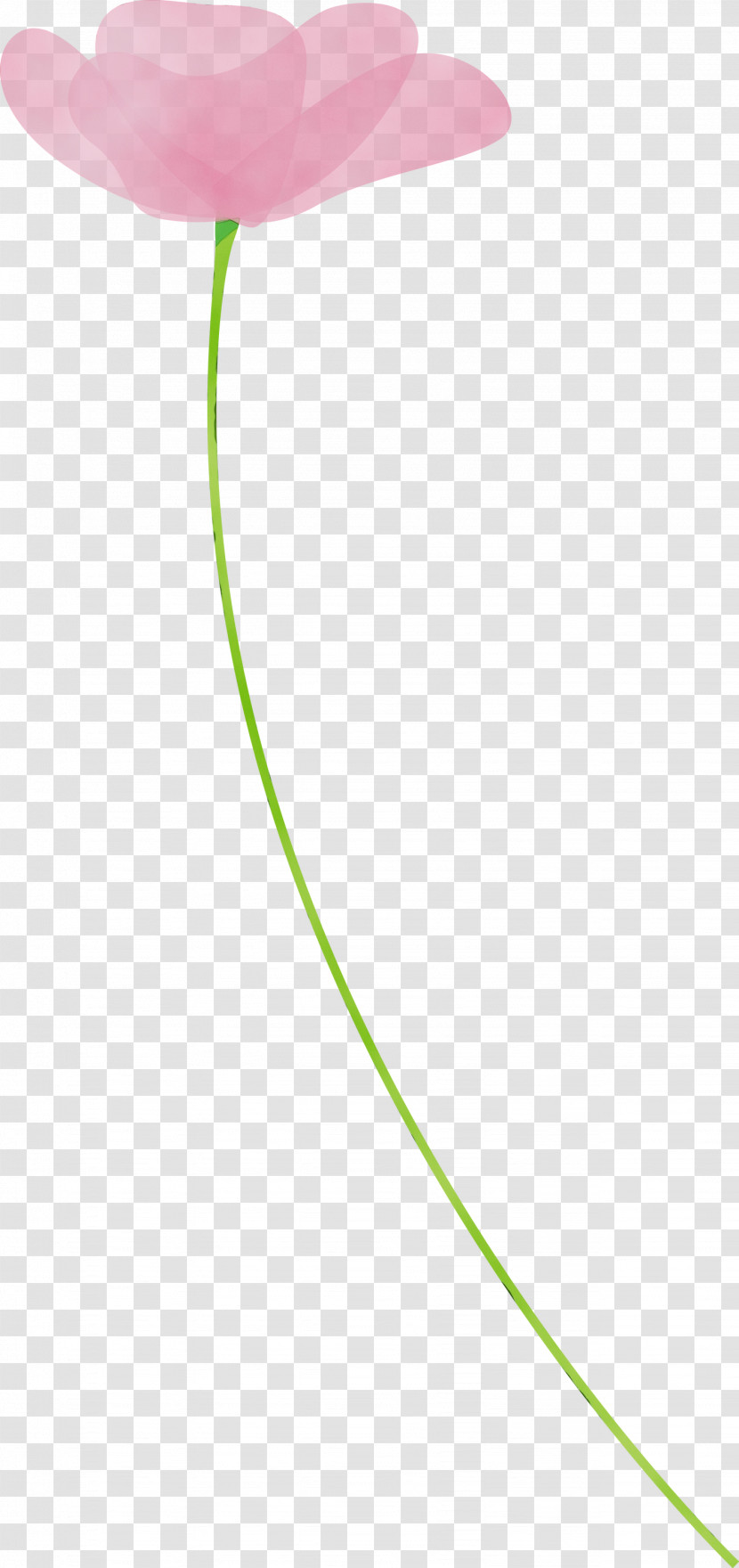 Green Line Leaf Plant Transparent PNG