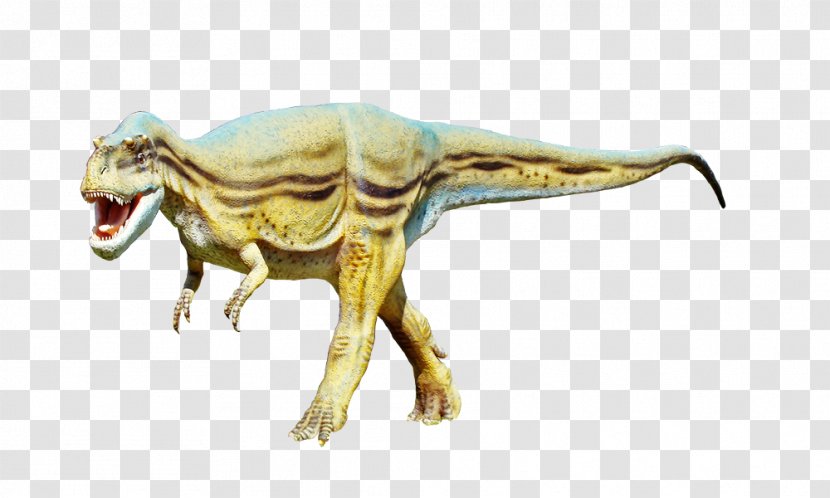 Velociraptor Tyrannosaurus Dinosaur Transparent PNG