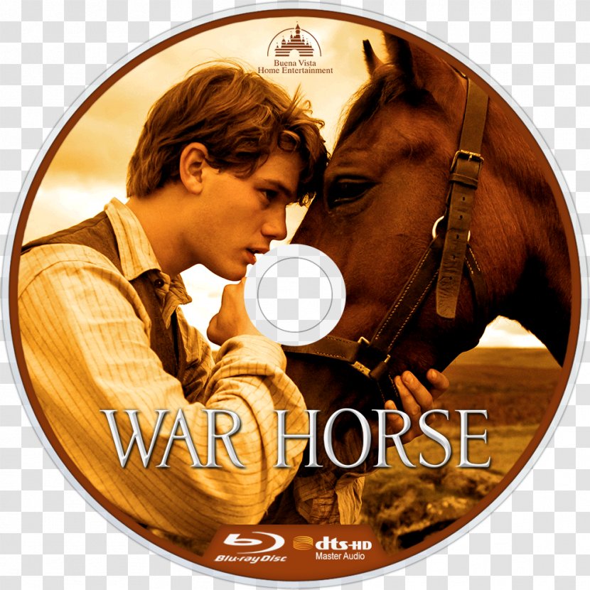 War Horse Steven Spielberg Albert Narracott Film Transparent PNG