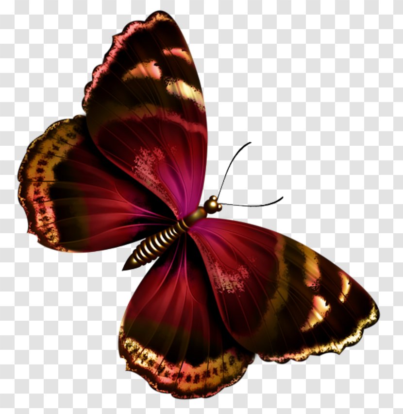 Butterfly Papillon Dog Clip Art - Tube Transparent PNG