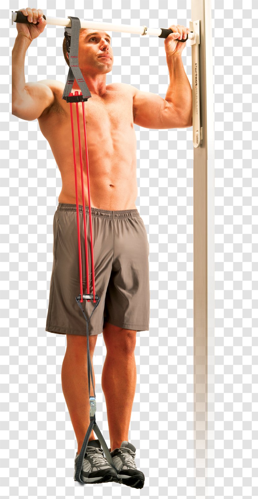 Weight Training Pull-up Exercise Equipment Barbell - Cartoon Transparent PNG
