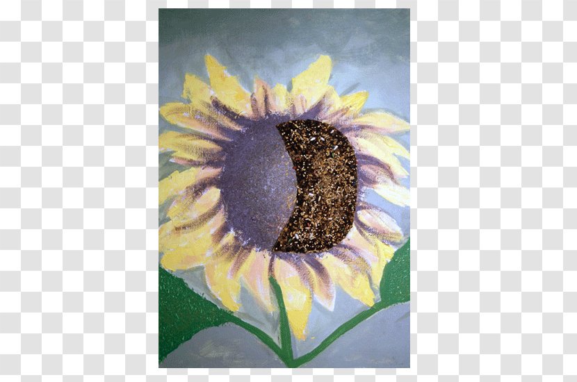 Common Sunflower Seed Daisy Family Violet - Flower - Watercolor Transparent PNG