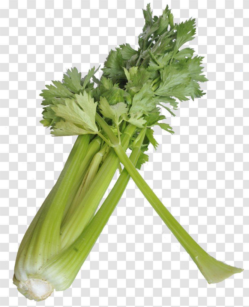 Celeriac Leaf Vegetable Food Celery - Spring Greens - Herbes Transparent PNG