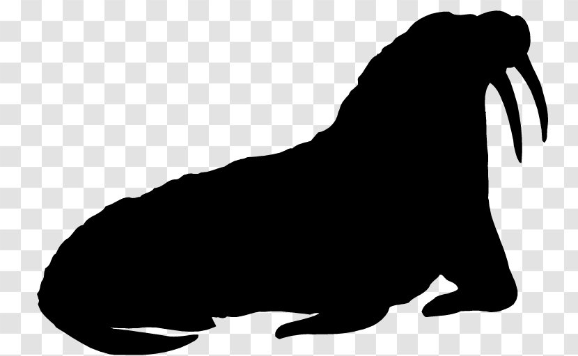 Dog Sea Lion Mammal Canidae - Sporting Group - Breed Transparent PNG