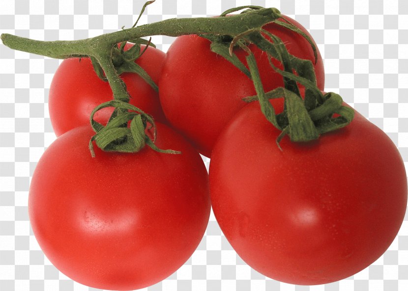 Tomato Vegetable Clip Art - Cucumber - Image Transparent PNG