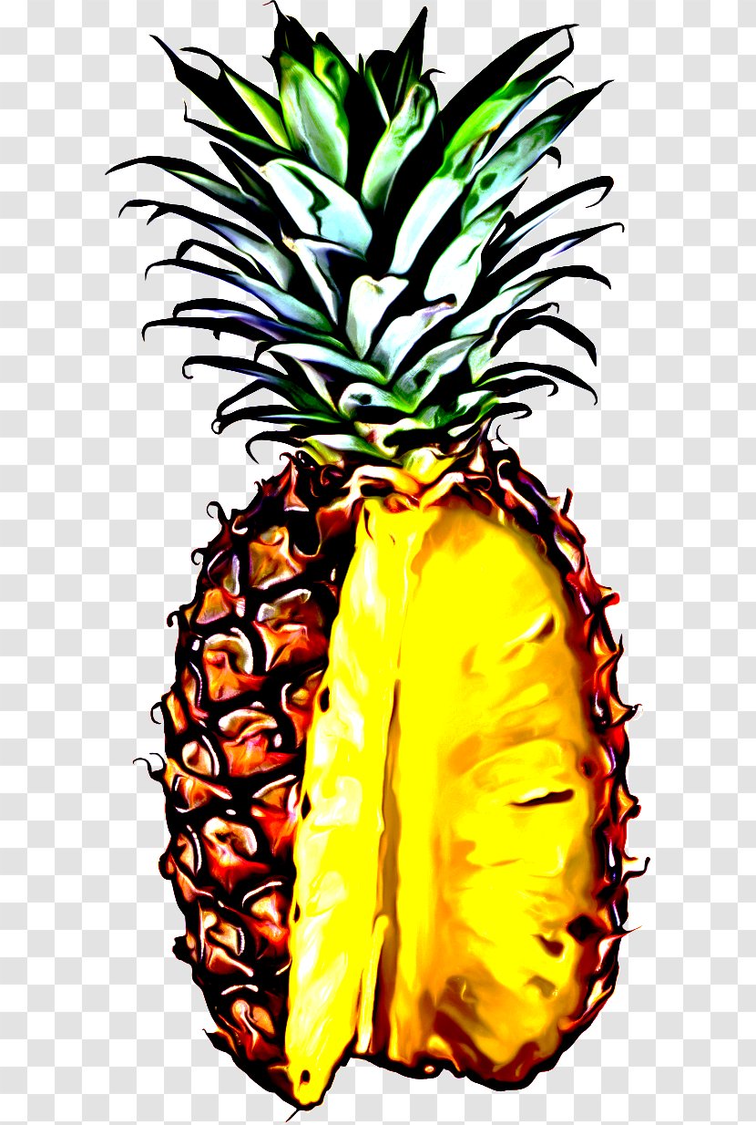 Pineapple - Plant - Fruit Transparent PNG