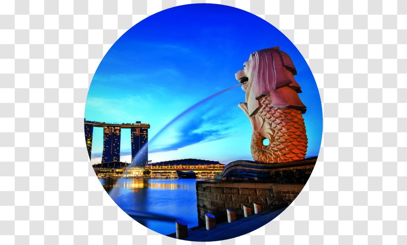 Merlion Park Sentosa Singapore River Marina Bay - Location - Travel Transparent PNG