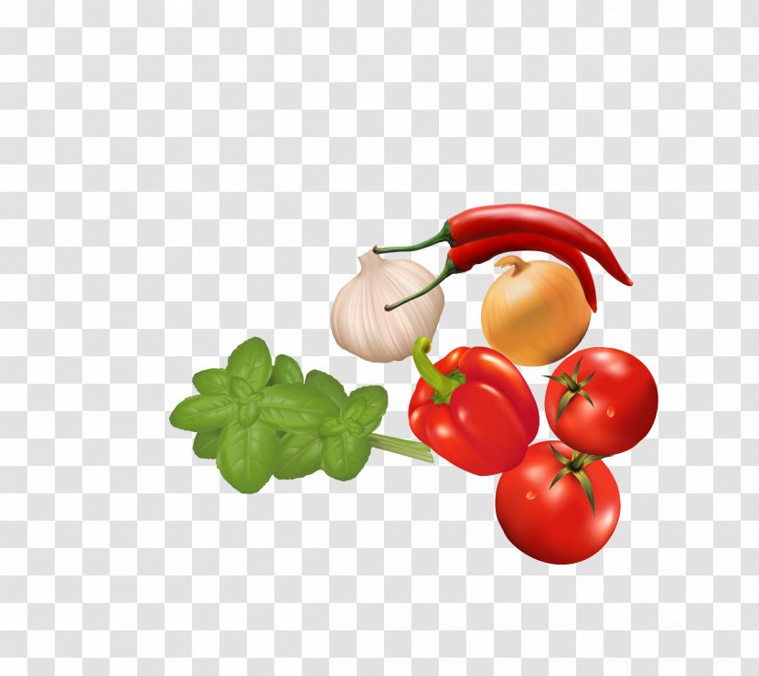 Tomato Vegetable Capsicum Annuum - Food - Vector Colored Vegetables Tomatoes Celery Peppers Transparent PNG