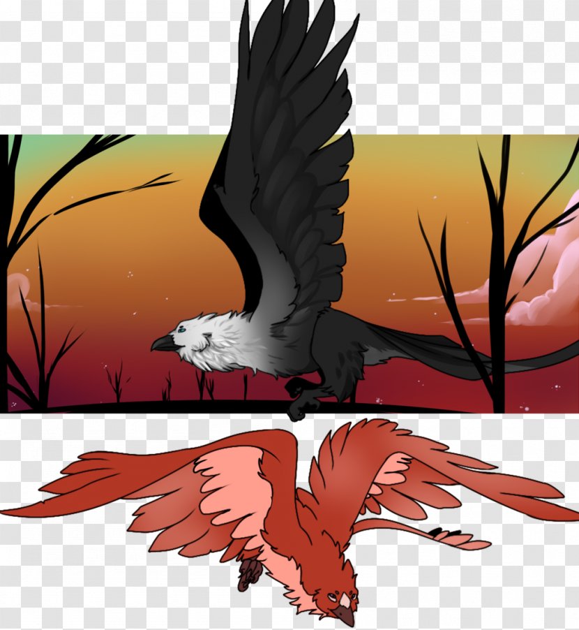 Bald Eagle Beak Cartoon - Bird Transparent PNG