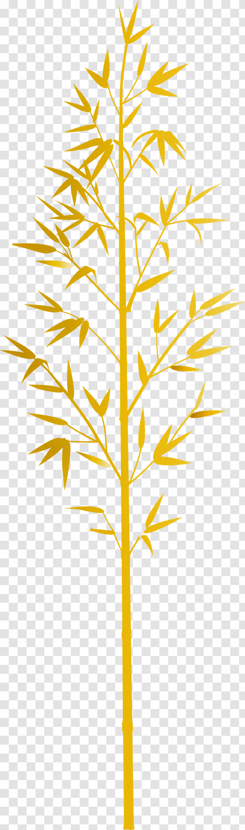 Bamboo Leaf Transparent PNG