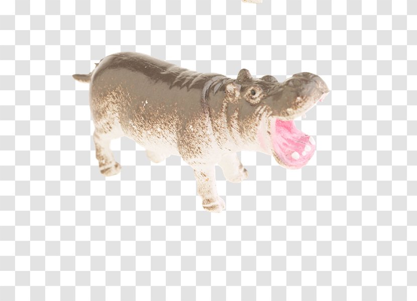 Cattle PhotoScape Hippopotamus GIMP Age Of Enlightenment - Snout - Roi Transparent PNG