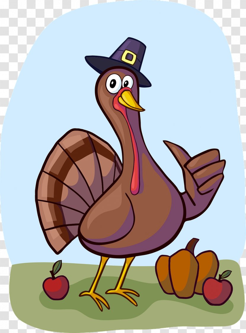 Turkey Meat Thanksgiving Clip Art - Ducks Geese And Swans - Thanks Giving Transparent PNG