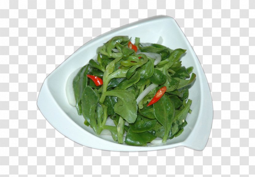 Common Purslane Vegetable Vegetarian Cuisine Food Eating - Leaf - Salad Transparent PNG