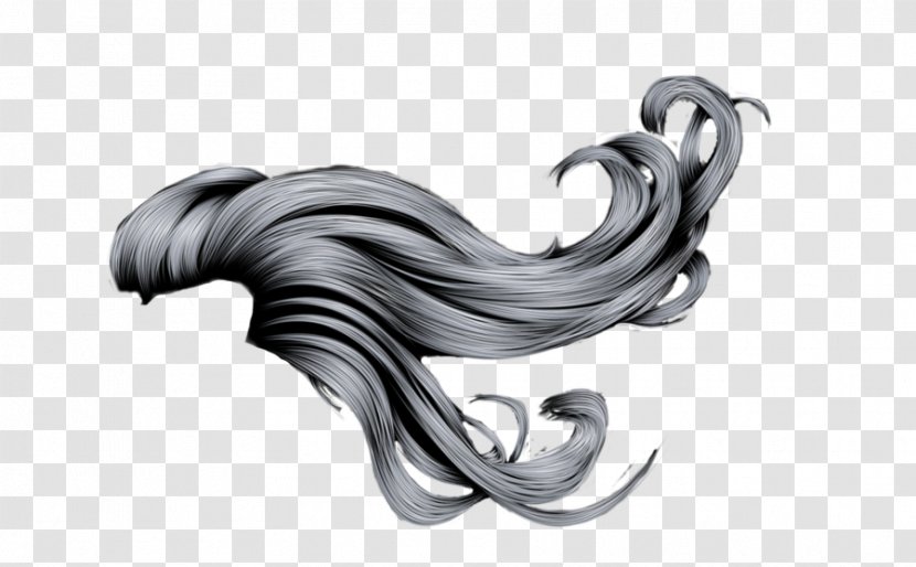 Long Hair Canities - Black Transparent PNG